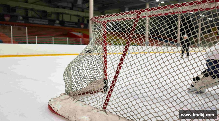 bsports官网领跑者的选择，力量无限！